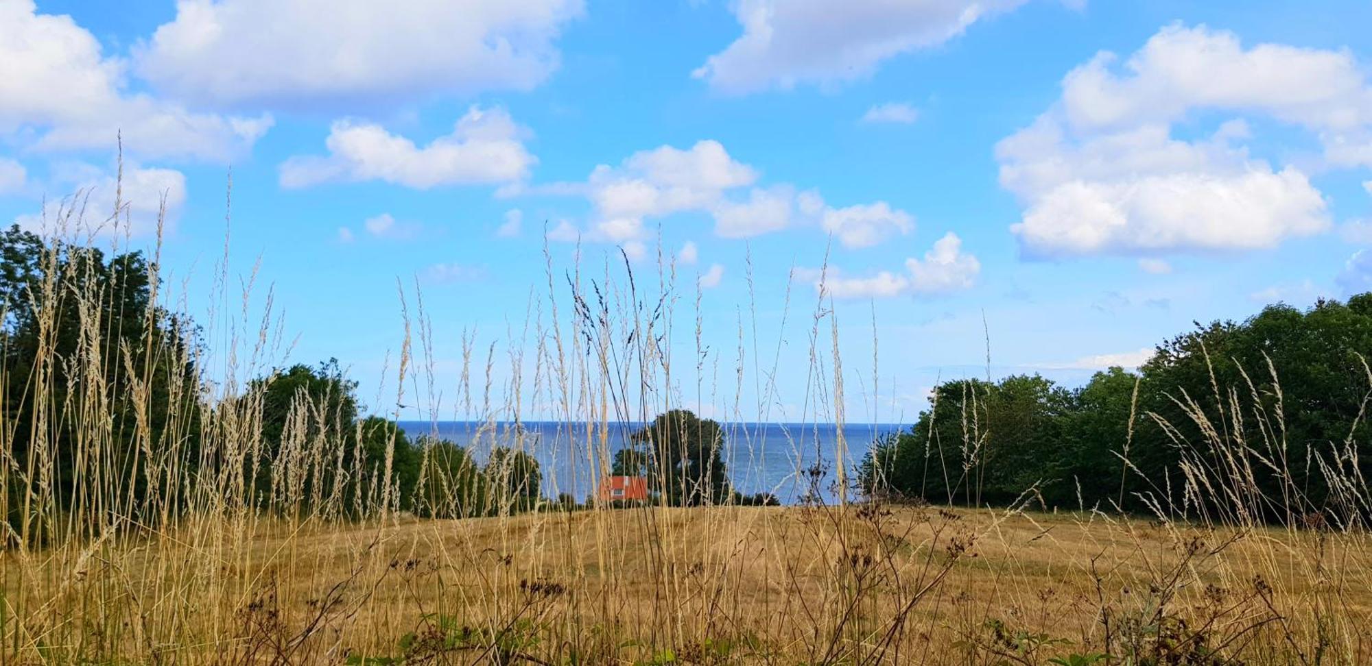 Pyttegården